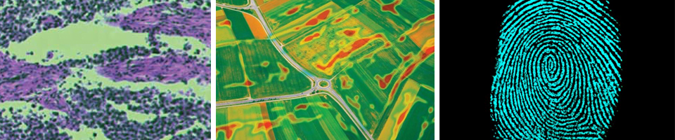 Multispectral Imaging Applications - PIXELTEQ (Biomedical & Life Sciences, Food & Agriculture, Aerospace & Defense, Cultural Heritage)